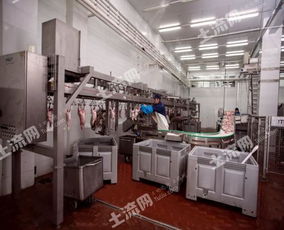 俄羅斯38250平方米現(xiàn)代化肉類(lèi)加工廠轉(zhuǎn)讓?zhuān)诤暇W(wǎng)絡(luò)技術(shù)開(kāi)發(fā)新機(jī)遇